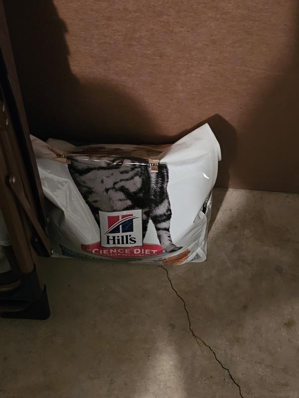 Going through this bag like lightning