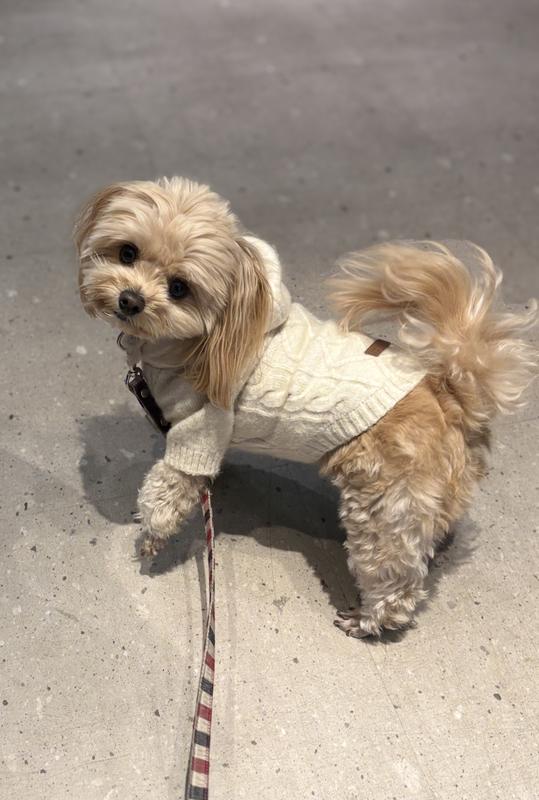 犬用〉メタボリックス 小粒 ドライ | ヒルズ プリスクリプション