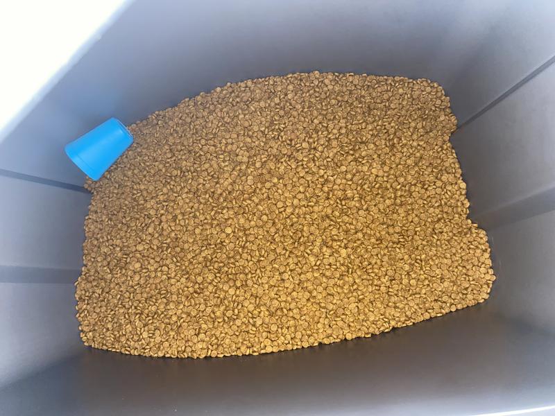 Science Diet Canine Small Bites- Chicken