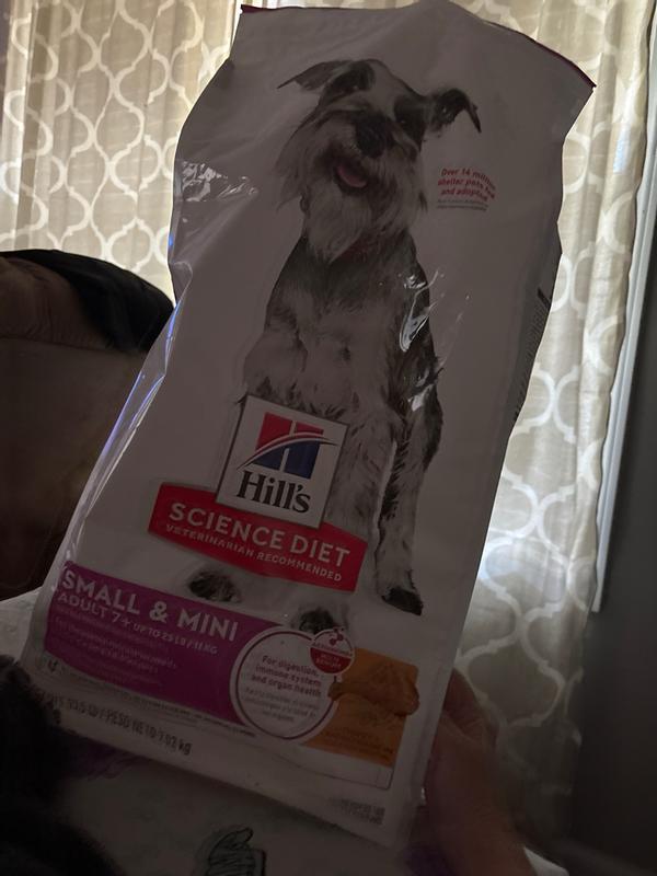Dog approved