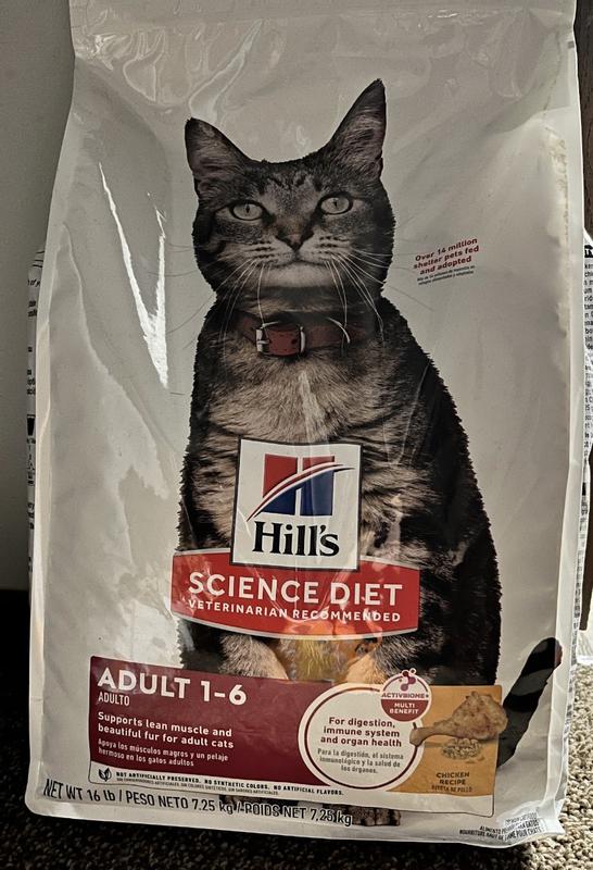 Ms  Kitty yummy food