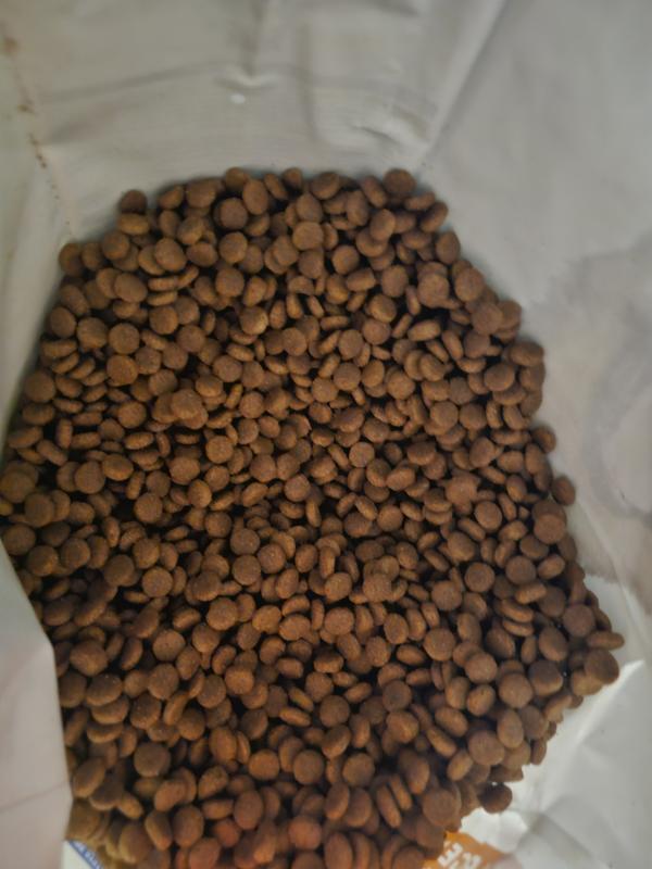 Hill's Science Diet Dog Food