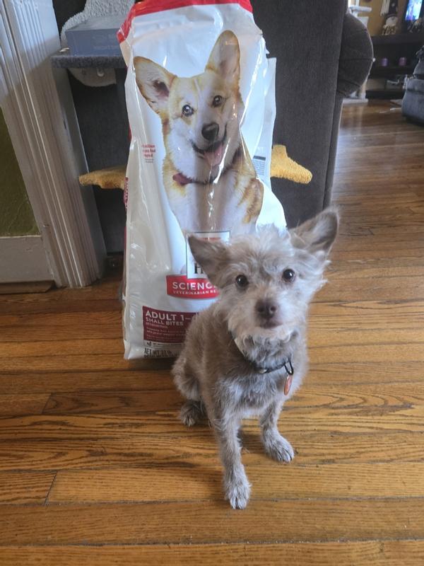 Buster Showing Off His New Favorite Food