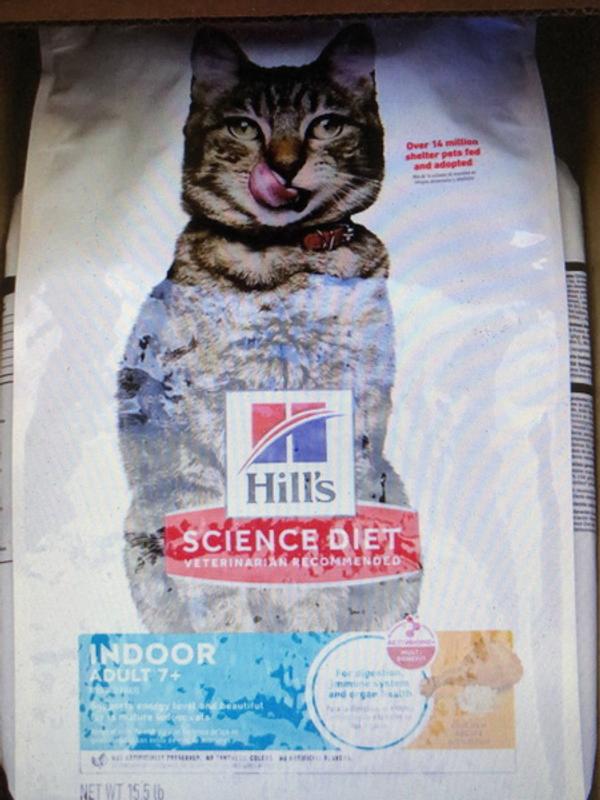 SD Feline Adult 7  Indoor Chicken