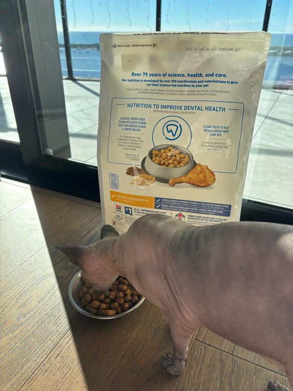 My Cat Loves This Food