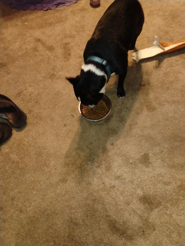 Chance trying it for the first time