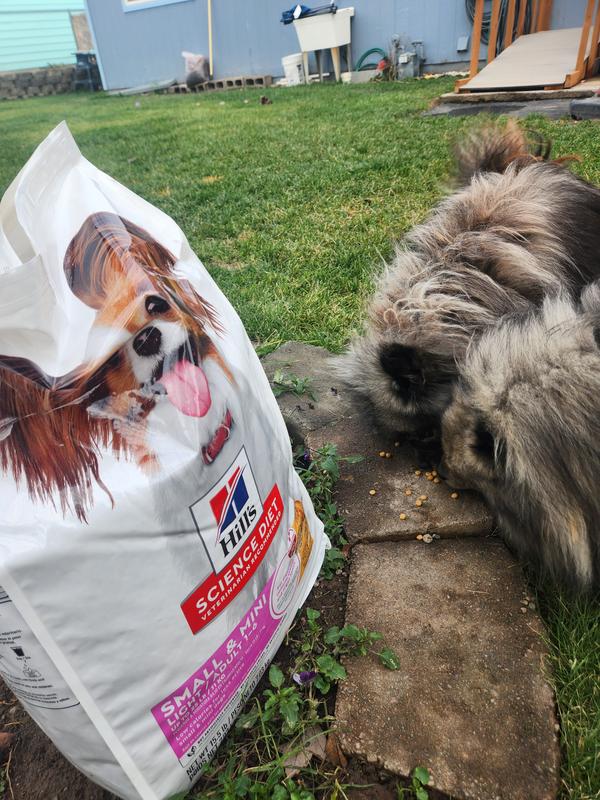 Hill's Science Diet Adult Light Small & Mini Chicken & Barley Dog