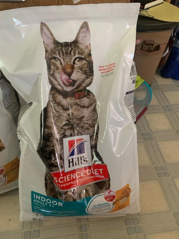 Cats love it