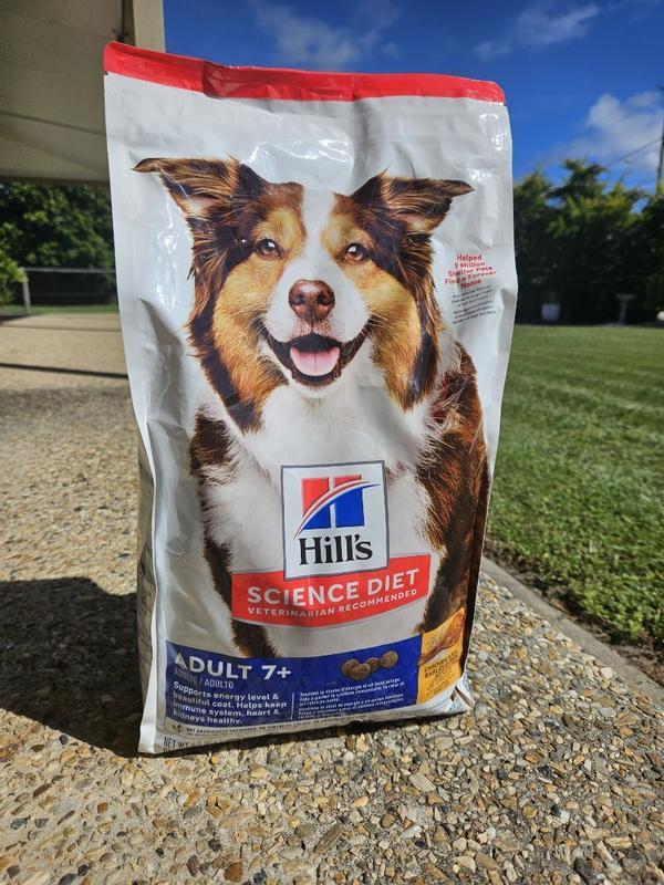 Hills active longevity dog food hotsell