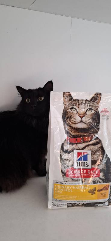 New favourite dry food