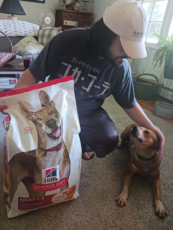 Hill's Science Diet dry dog food