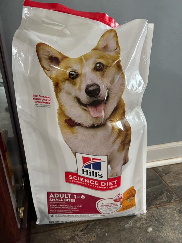 Dog’s approved