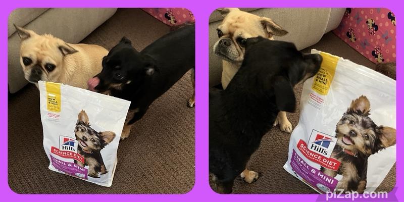 Hill's science diet large breed puppy reviews shop