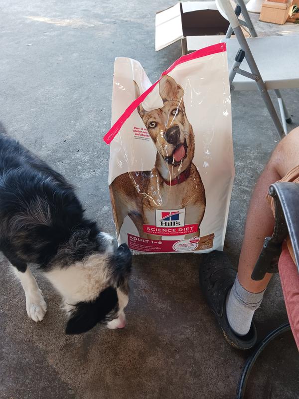 Susie Loves Her Food