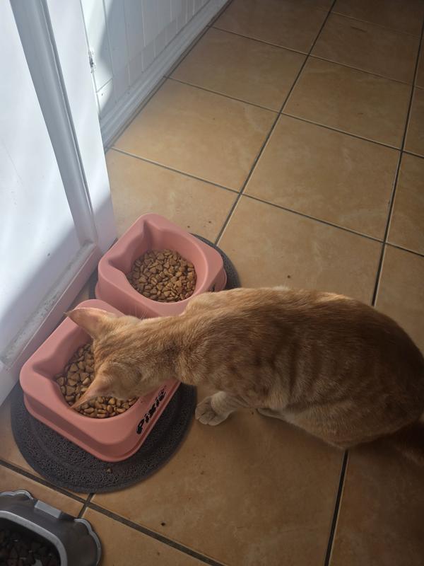 Enjoying dinner