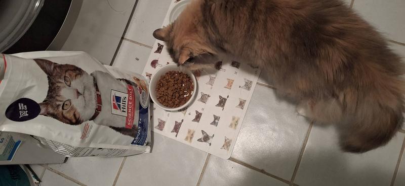 Pebbles now runs to her food.