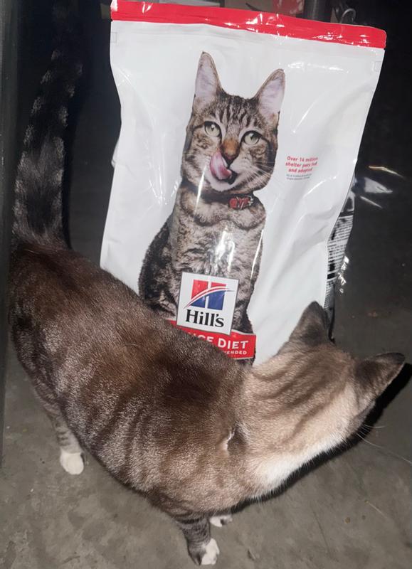 Yoshi Checking Out The New Bag of Food.