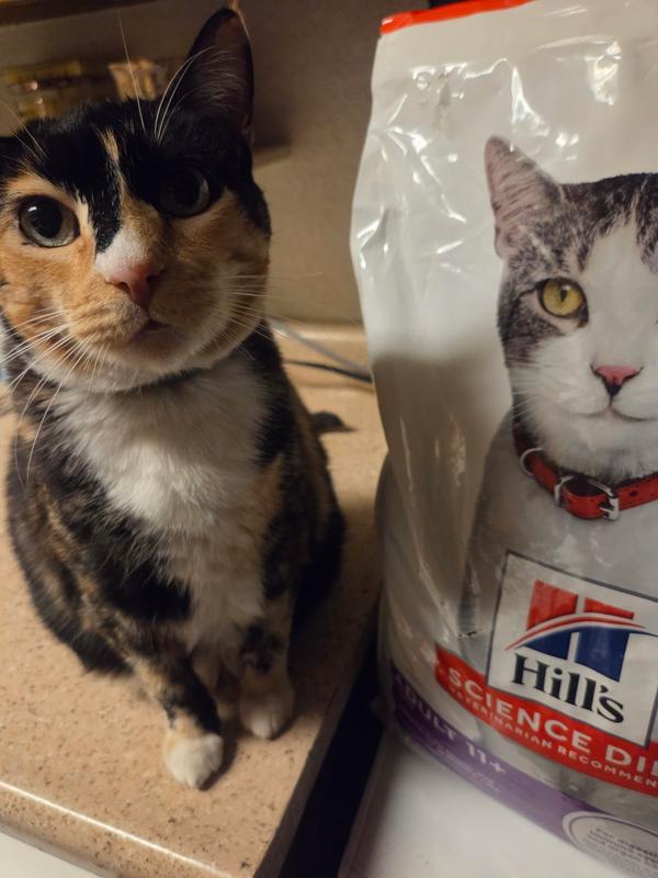 Ms. Mittens