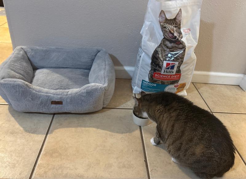 Enjoying her food.