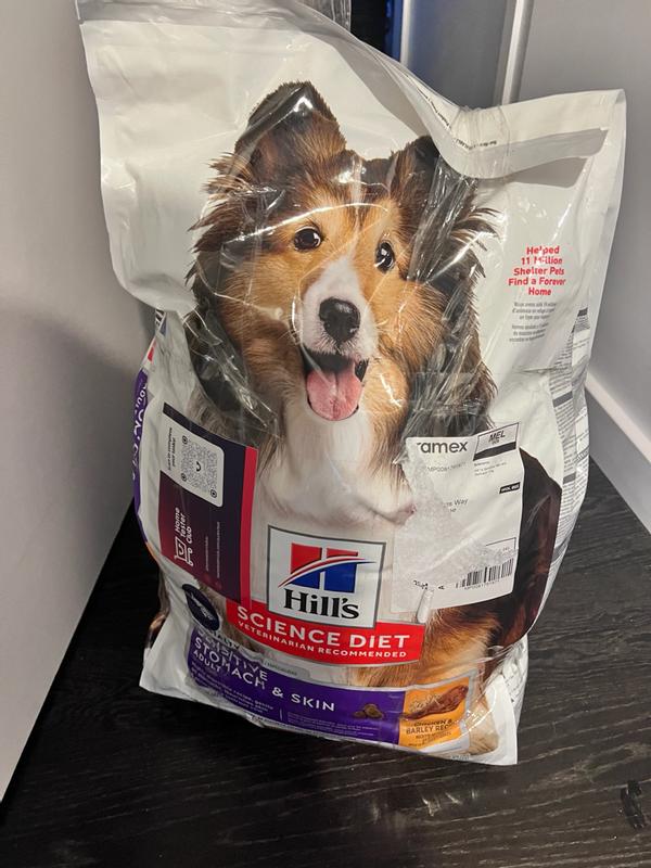Great dog food