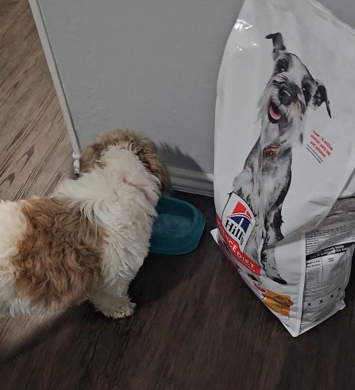 She loves it! She loves it!