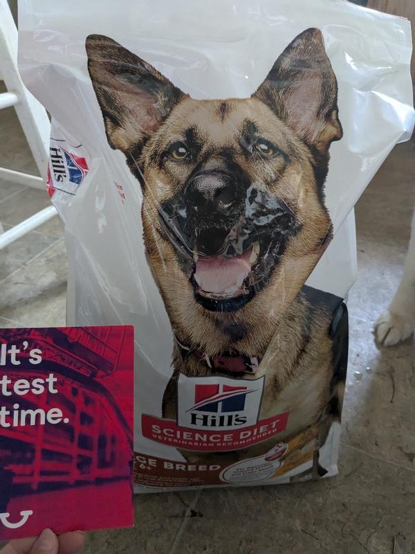 Dog food