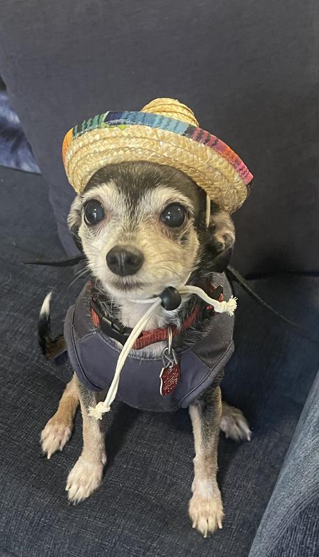My little brother Rudy