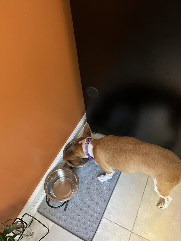 Clean the bowl every time