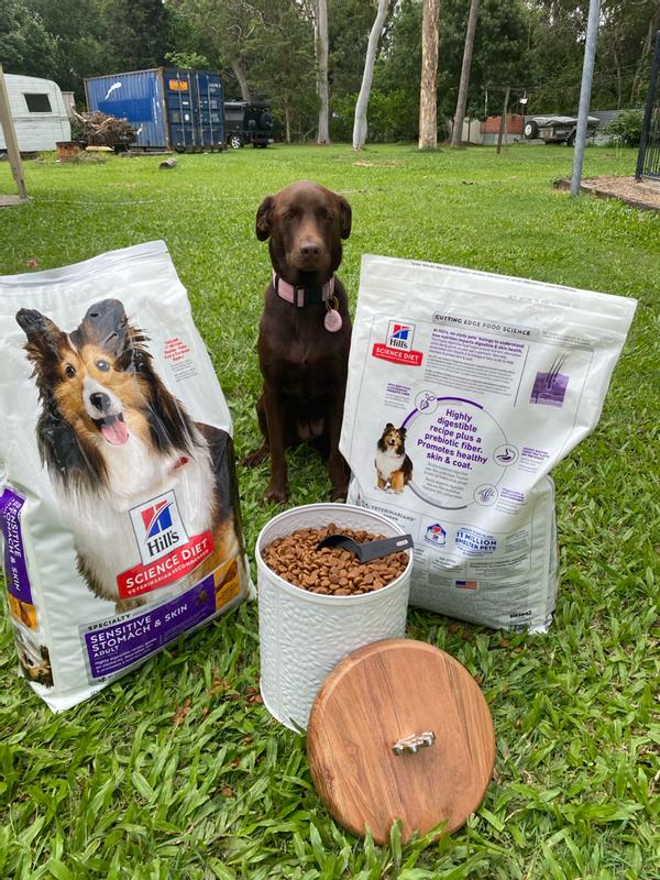 Hill's Science Diet Adult Sensitive Stomach & Skin Dry Dog Food