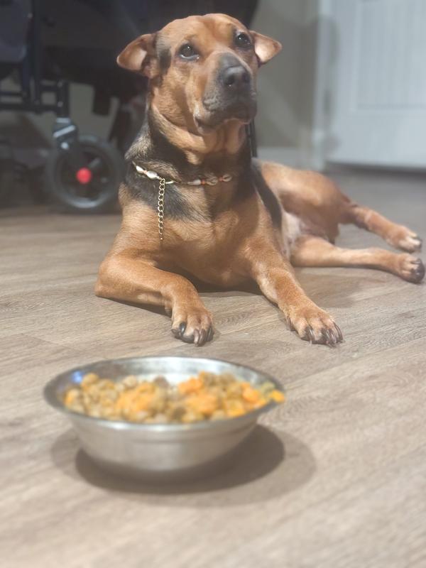 Waiting patiently
