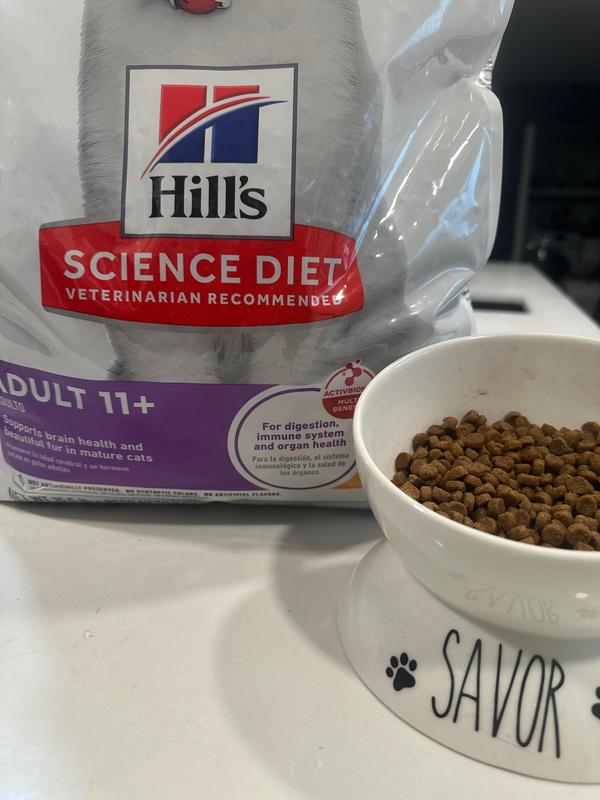 Dry Cat food in their favorite bowl