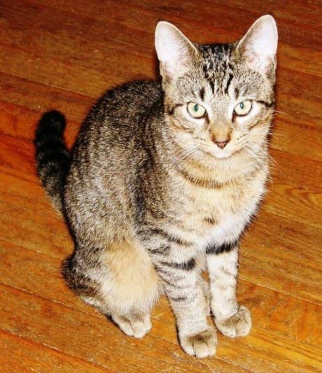 Casey and his new youthful look :-)