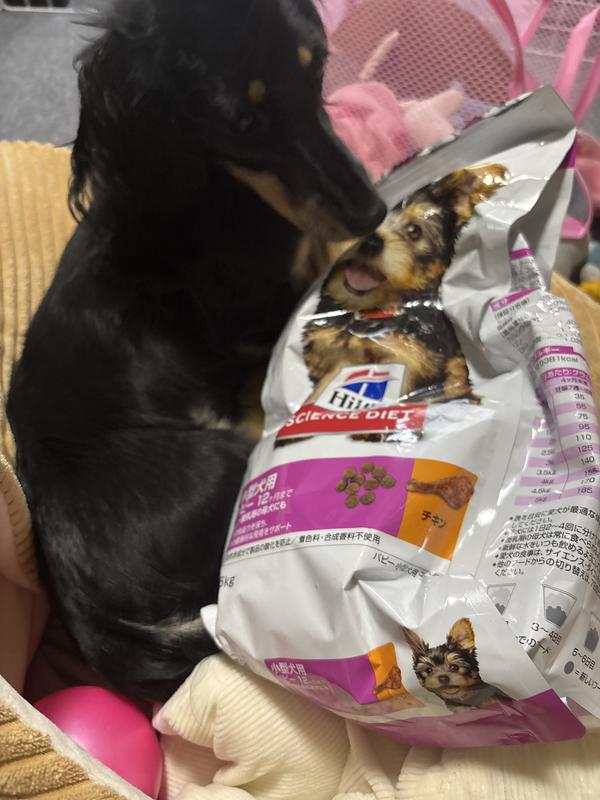 小型犬用 パピー12ヶ月まで 妊娠・授乳期の母犬にも 子犬用 チキン