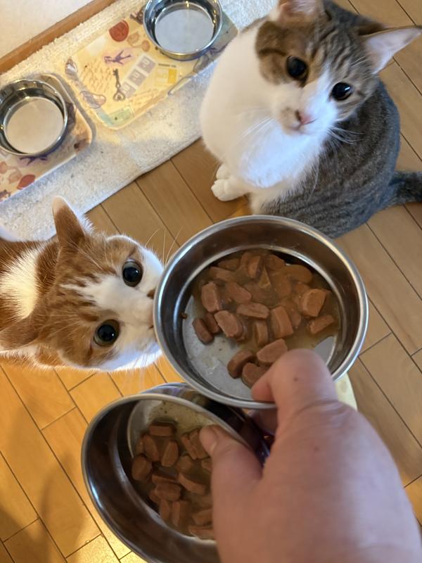 避妊・去勢後～6歳 サーモン ウエットパウチ | ヒルズ サイエンス