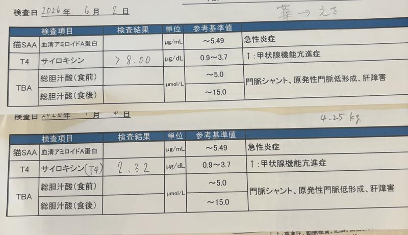 猫用〉y/d ワイディー ドライ | ヒルズ プリスクリプション