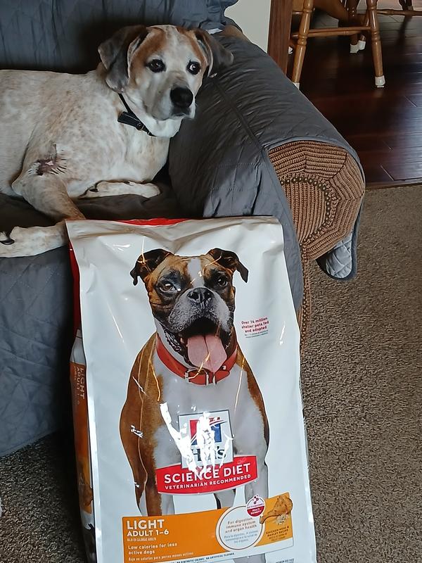 Hills Science Diet Light