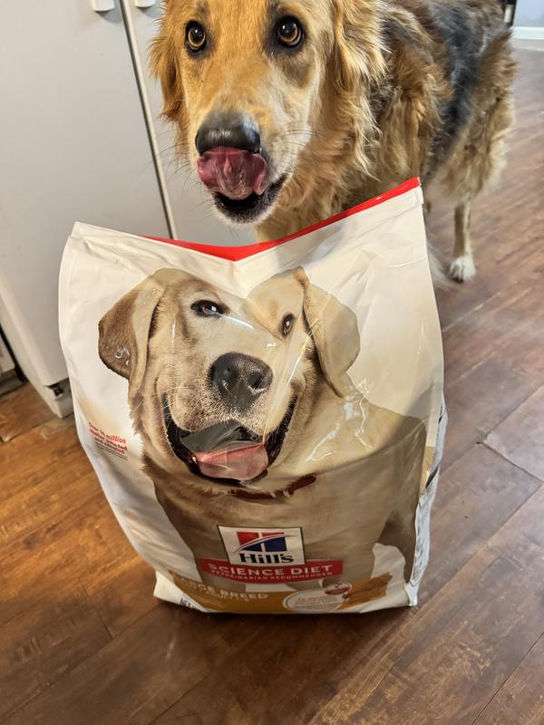 Good food and the face of a dog who LOVED it