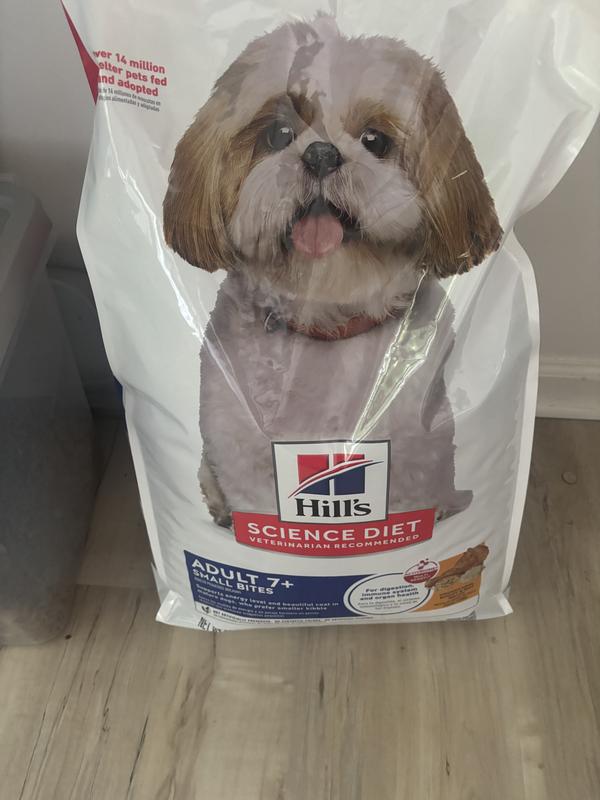 Great size bag