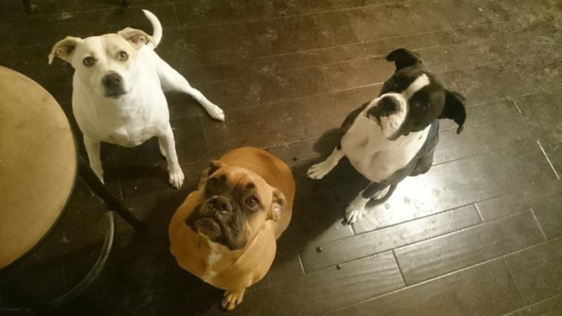 Treat time!!