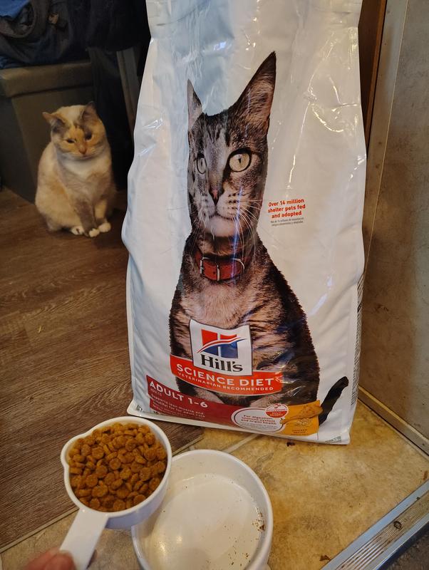 Hills Science Diet feline adult chicken recipe