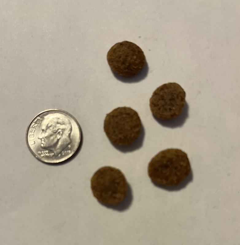 Kibble size - dime for reference