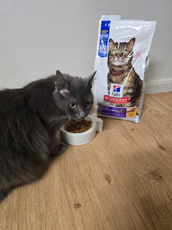 mid munch