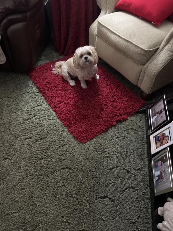 Peanut