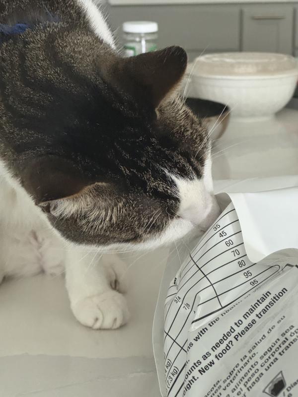 first sniff