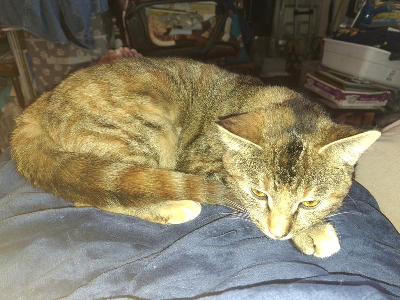 My New Home Abd New Mommie.