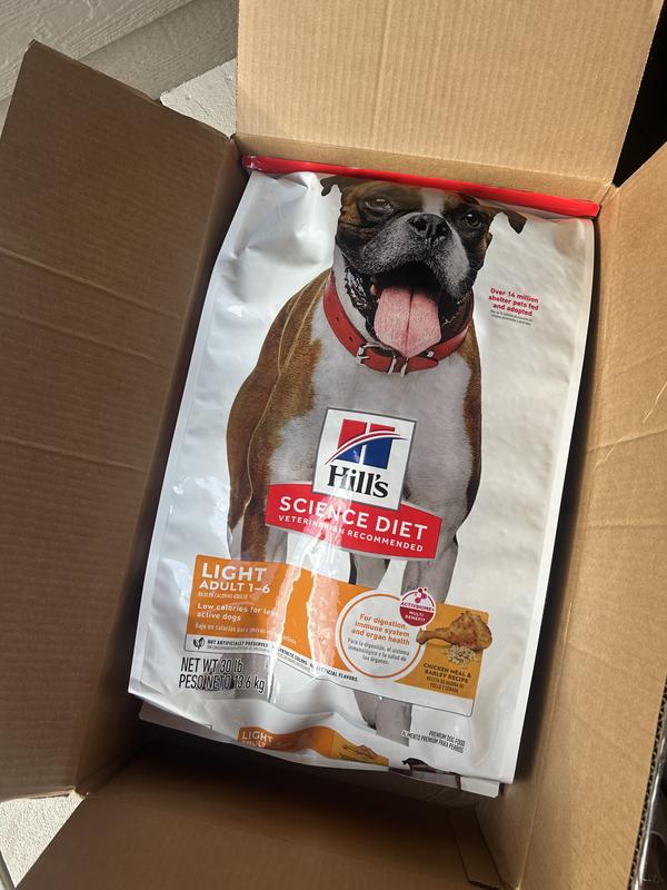 Happy healthy canine
