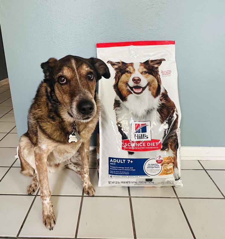 Our new favorite food!