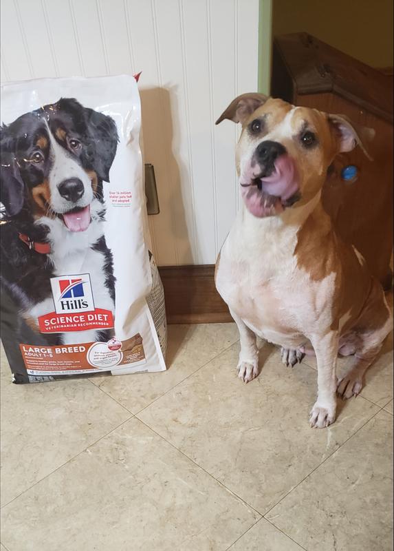 She seemed to like it.