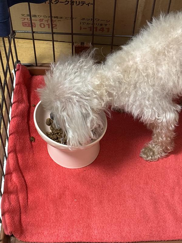 犬用〉腸内バイオーム 小粒 ドライ | ヒルズ プリスクリプション