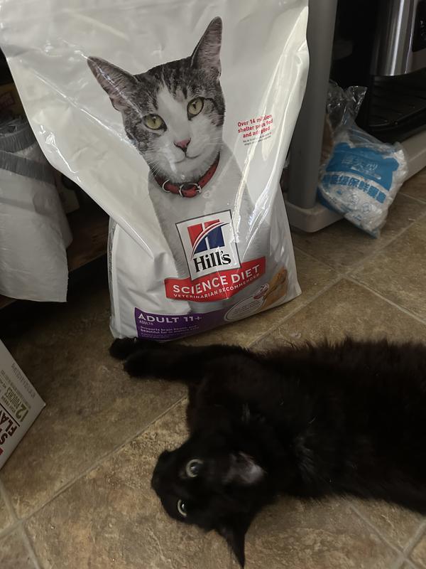 He’s interested!